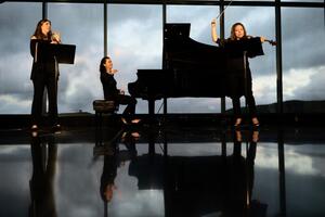 The Iris Trio Performing