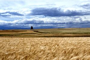 fund-raising concert for Ukraine