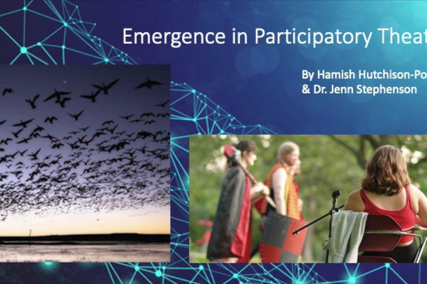 Emergence in Participatory Theatre