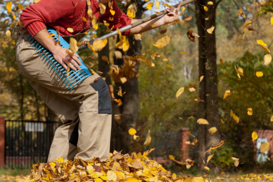 Person playing guitar on a rake doing yardwork